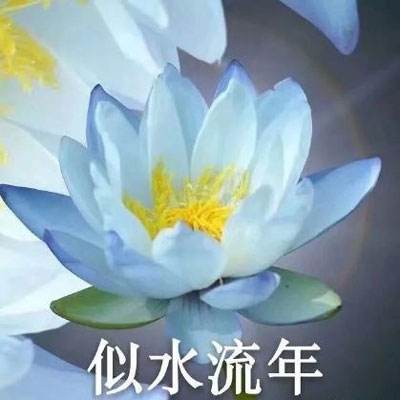 斗魂龙骑九游最新版下载