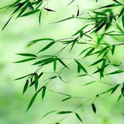 洛奇英雄传永恒修改版下载
