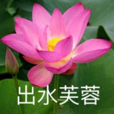 真心英雄游戏下载