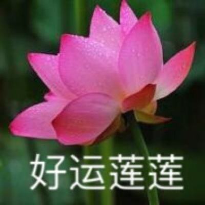 九游花与剑游戏下载
